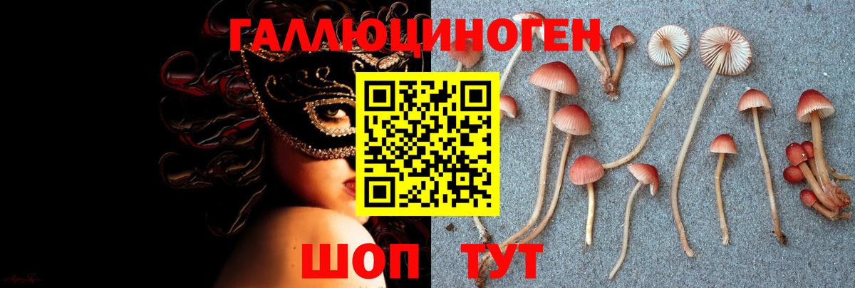 Нарткала  Псилоцибиновые грибы Magic Shrooms  Псилоцибиновые грибы мицелий  где купить наркоту  Вход с VPN 